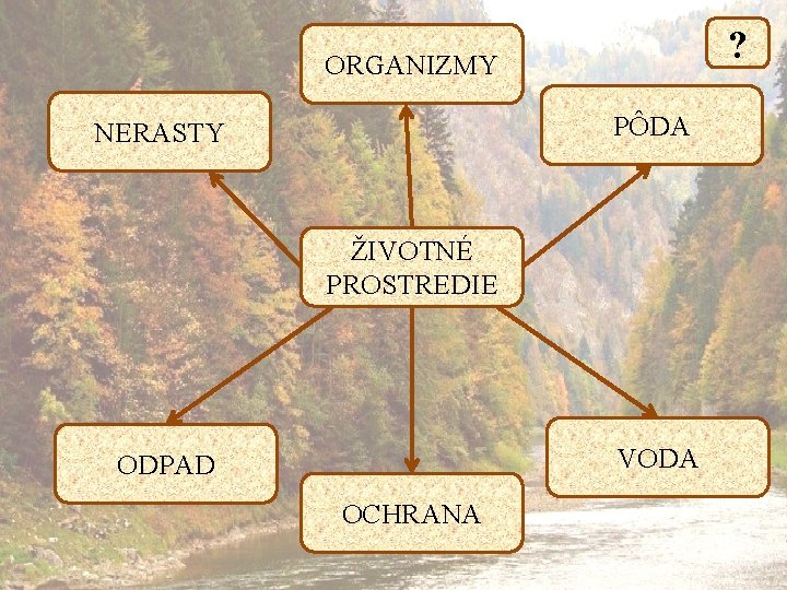 ? ORGANIZMY PÔDA NERASTY ŽIVOTNÉ PROSTREDIE VODA ODPAD OCHRANA 