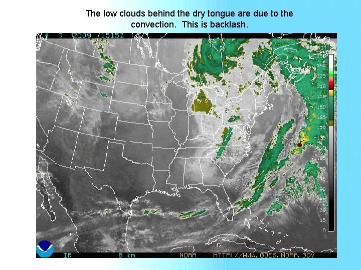 The low clouds behind the dry tongue are due to the convection. This is