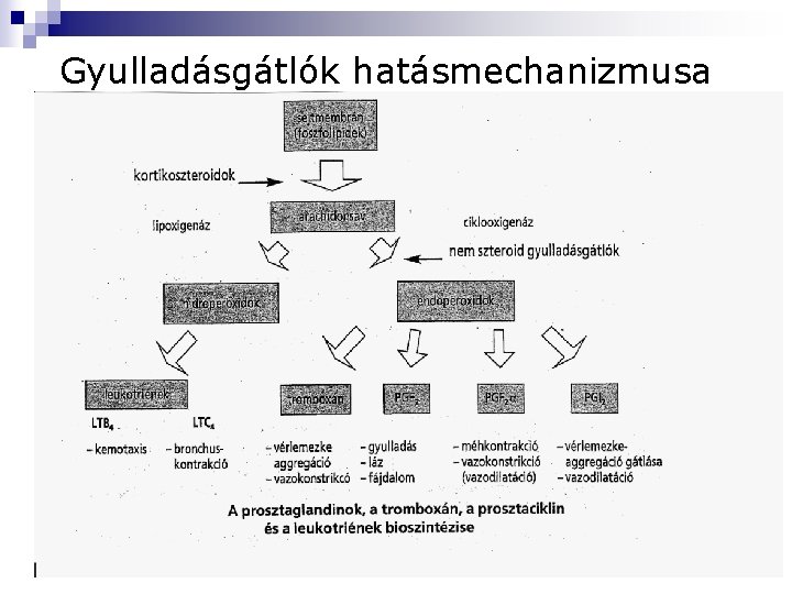 Gyulladásgátlók hatásmechanizmusa 