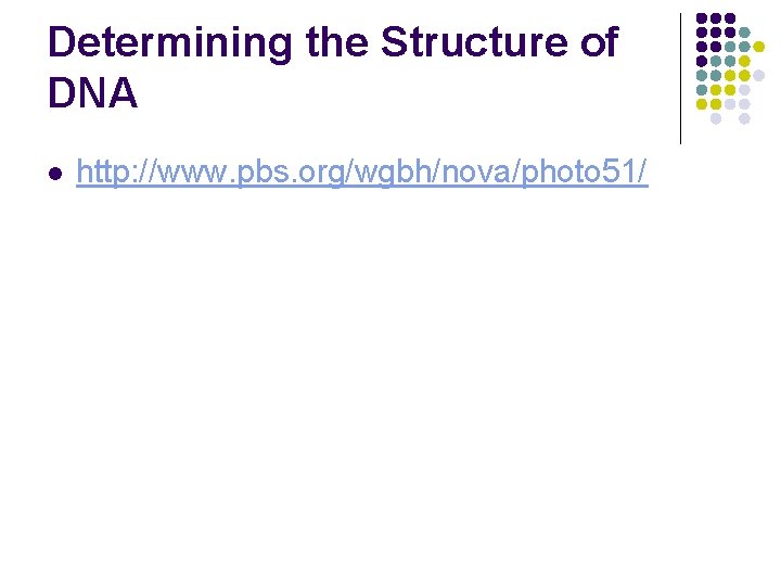 Determining the Structure of DNA l http: //www. pbs. org/wgbh/nova/photo 51/ 