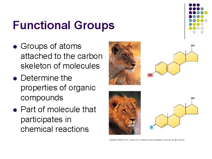 Functional Groups l l l Groups of atoms attached to the carbon skeleton of