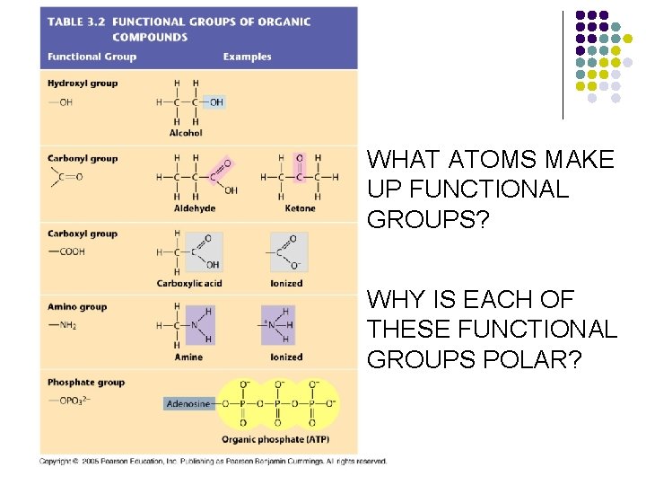 WHAT ATOMS MAKE UP FUNCTIONAL GROUPS? WHY IS EACH OF THESE FUNCTIONAL GROUPS POLAR?