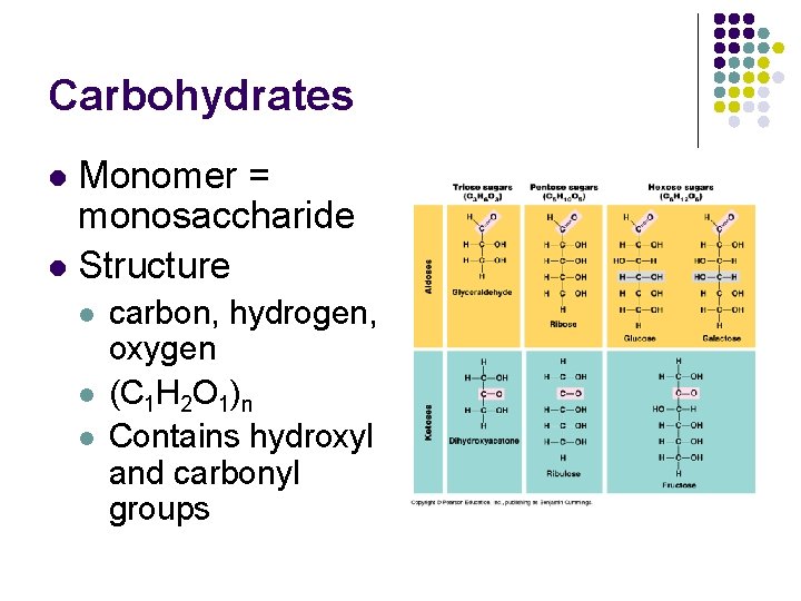 Carbohydrates Monomer = monosaccharide l Structure l l carbon, hydrogen, oxygen (C 1 H