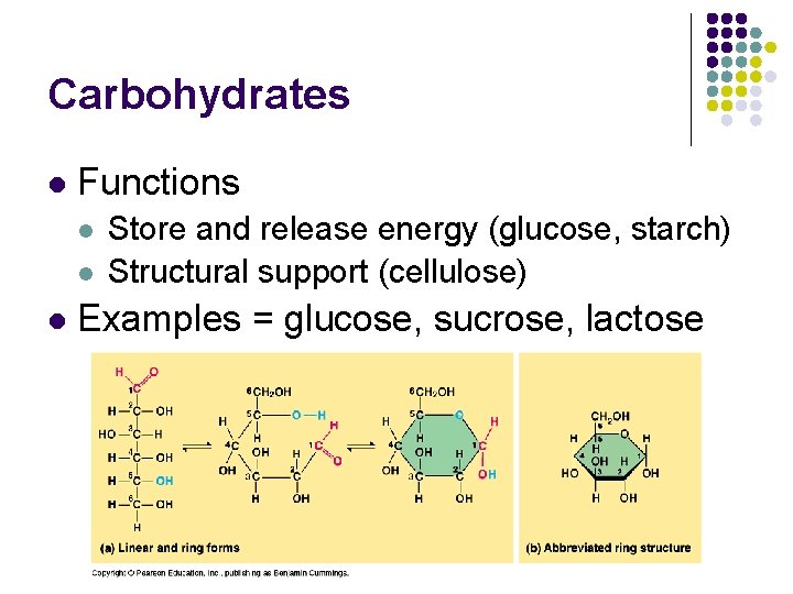 Carbohydrates l Functions l l l Store and release energy (glucose, starch) Structural support