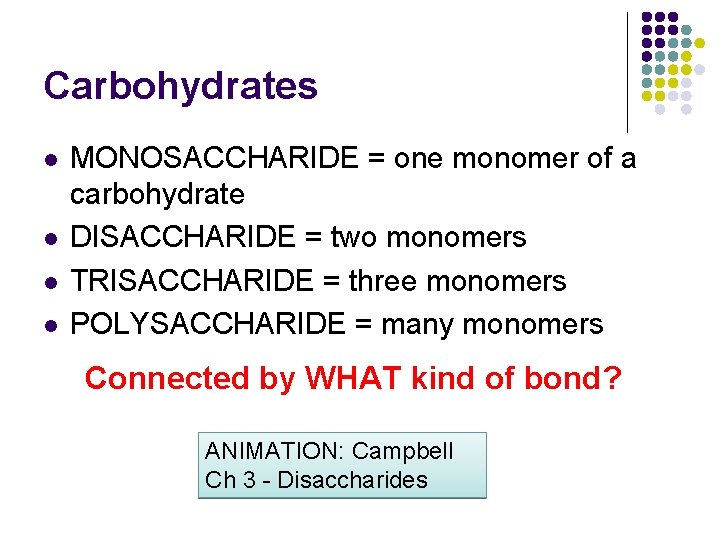 Carbohydrates l l MONOSACCHARIDE = one monomer of a carbohydrate DISACCHARIDE = two monomers