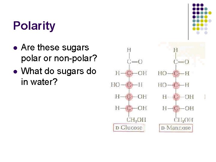 Polarity l l Are these sugars polar or non-polar? What do sugars do in