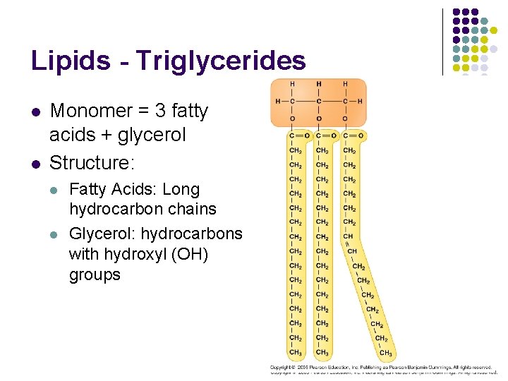 Lipids - Triglycerides l l Monomer = 3 fatty acids + glycerol Structure: l