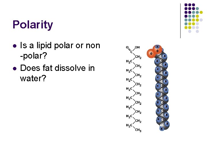 Polarity l l Is a lipid polar or non -polar? Does fat dissolve in