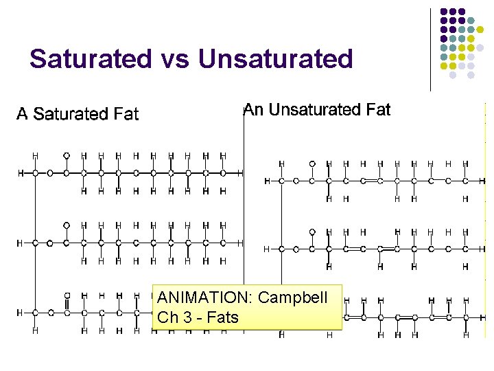 Saturated vs Unsaturated ANIMATION: Campbell Ch 3 - Fats 