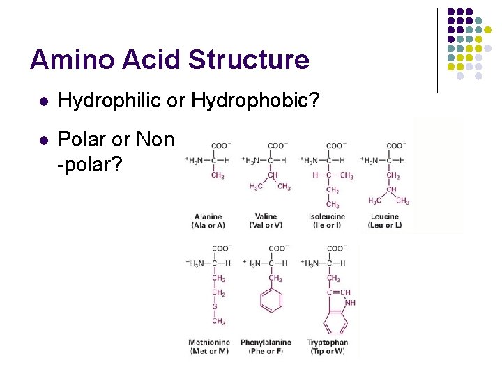 Amino Acid Structure l Hydrophilic or Hydrophobic? l Polar or Non -polar? 