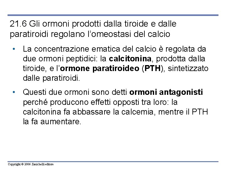 21. 6 Gli ormoni prodotti dalla tiroide e dalle paratiroidi regolano l’omeostasi del calcio 21. 6 Gli ormoni prodotti dalla tiroide e dalle paratiroidi regolano l’omeostasi del calcio