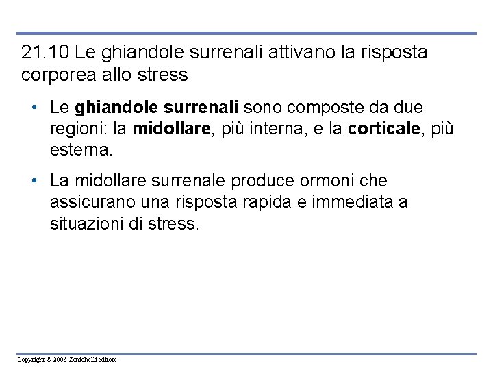 21. 10 Le ghiandole surrenali attivano la risposta corporea allo stress • Le ghiandole 21. 10 Le ghiandole surrenali attivano la risposta corporea allo stress • Le ghiandole