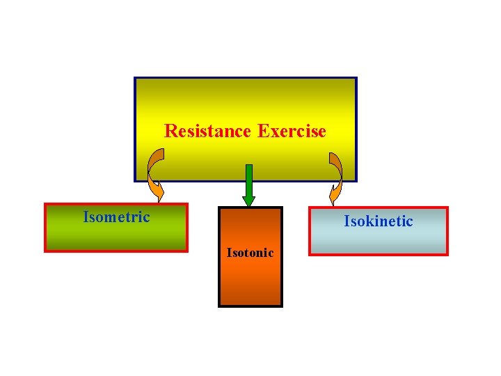 Resistance Exercise Isometric Isokinetic Isotonic 