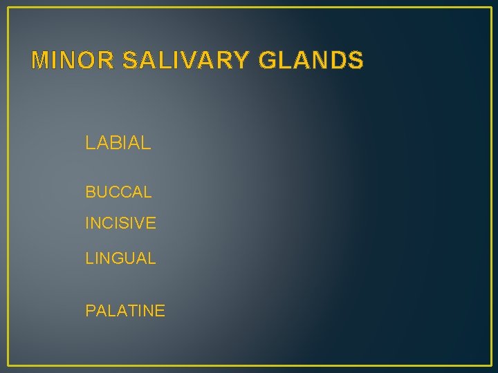 MINOR SALIVARY GLANDS LABIAL BUCCAL INCISIVE LINGUAL PALATINE 