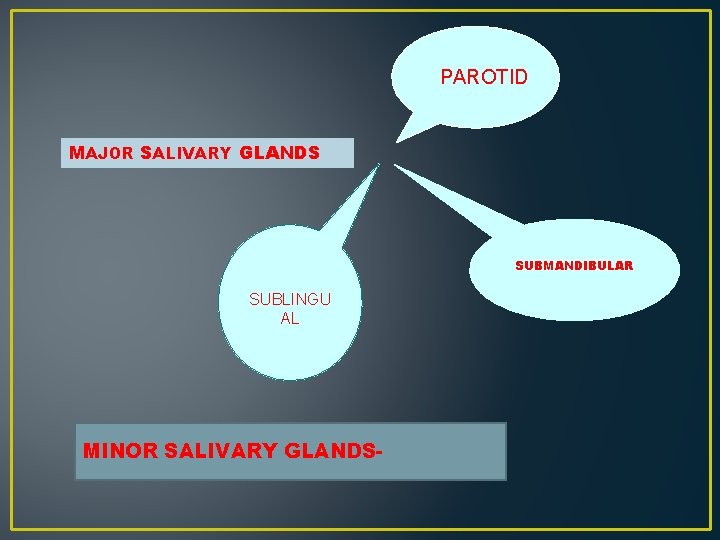 PAROTID MAJOR SALIVARY GLANDS SUBMANDIBULAR SUBLINGU AL MINOR SALIVARY GLANDS- 