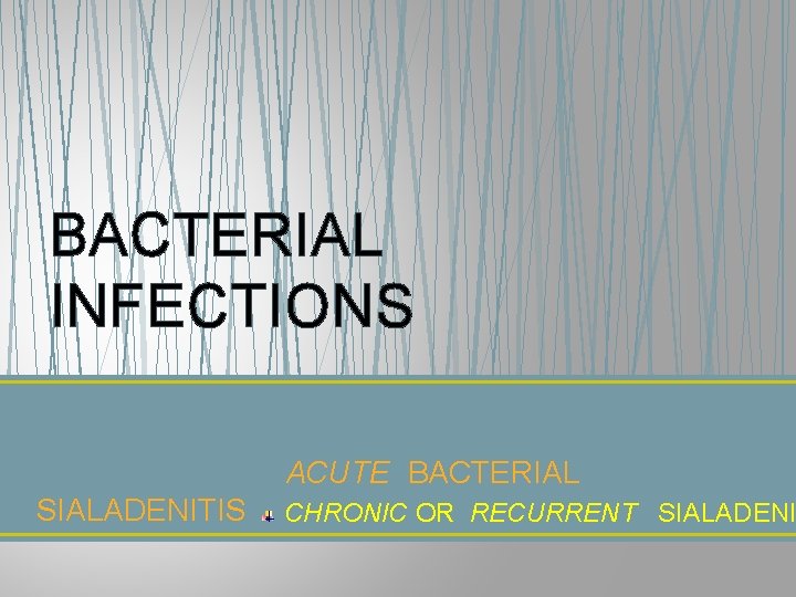 BACTERIAL INFECTIONS ACUTE BACTERIAL SIALADENITIS CHRONIC OR RECURRENT SIALADENI 