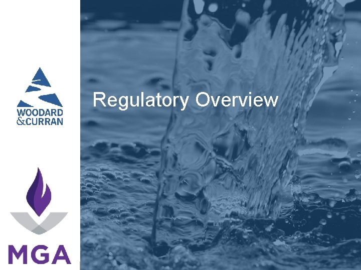 Regulatory Overview COMMITMENT & INTEGRITY DRIVE 