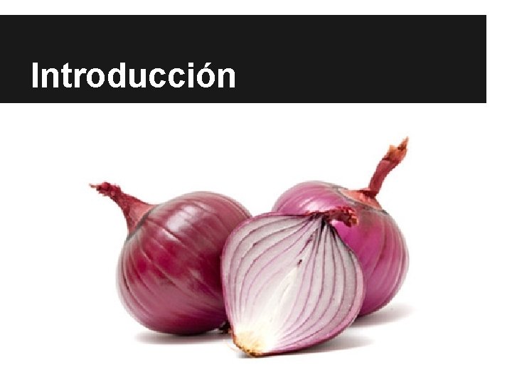 Introducción Introducción