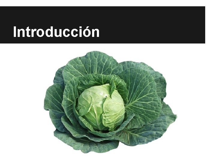 Introducción Introducción