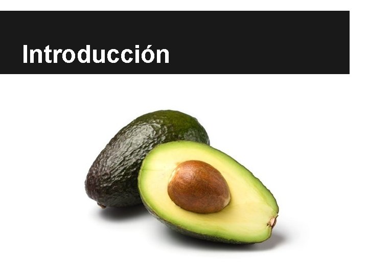 Introducción Introducción