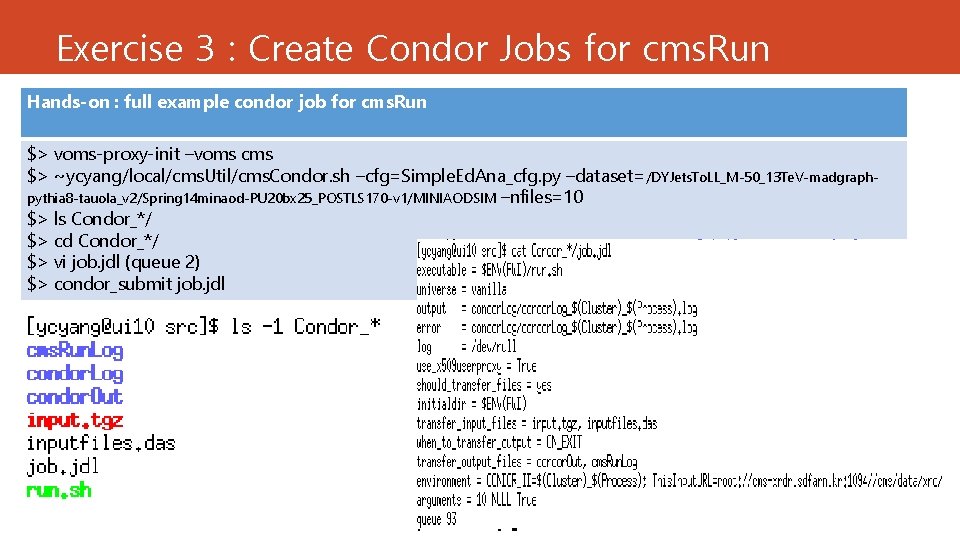 Exercise 3 : Create Condor Jobs for cms. Run Hands-on : full example condor Exercise 3 : Create Condor Jobs for cms. Run Hands-on : full example condor