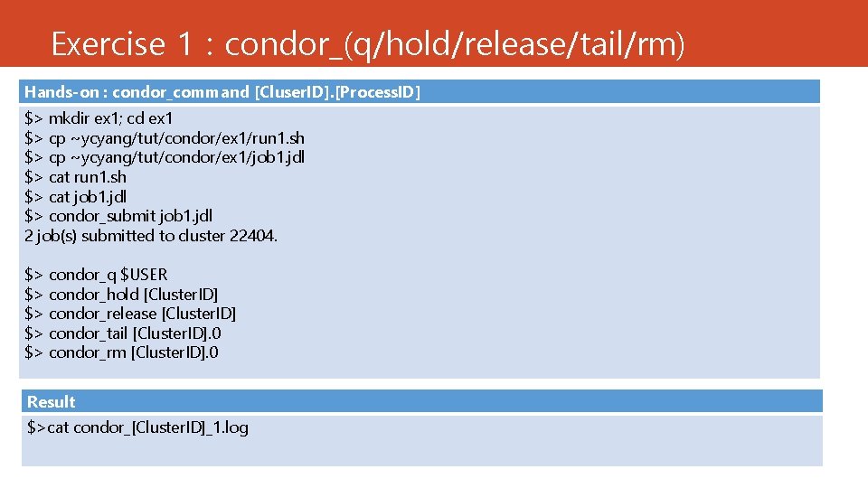 Exercise 1 : condor_(q/hold/release/tail/rm) Hands-on : condor_command [Cluser. ID]. [Process. ID] $> mkdir ex