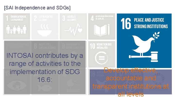 [SAI Independence and SDGs] INTOSAI contributes by a range of activities to the implementation