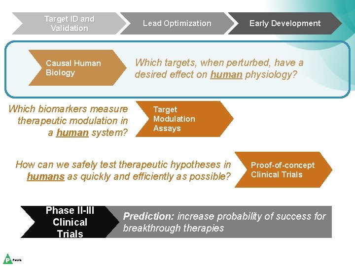 Target ID and Validation Lead Optimization Which targets, when perturbed, have a desired effect