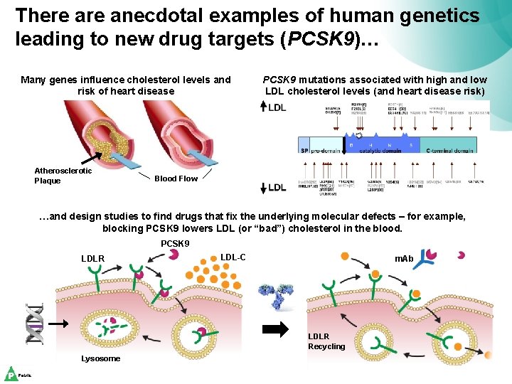 There anecdotal examples of human genetics leading to new drug targets (PCSK 9)… Many