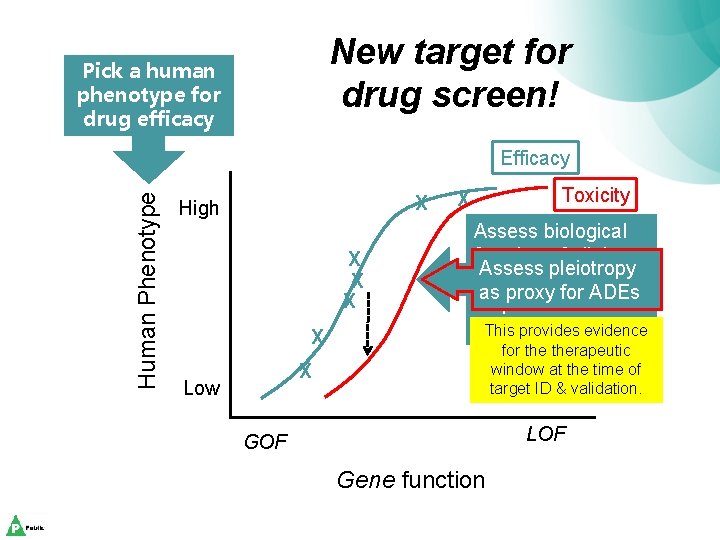 New target for drug screen! Pick a human phenotype for drug efficacy Human Phenotype