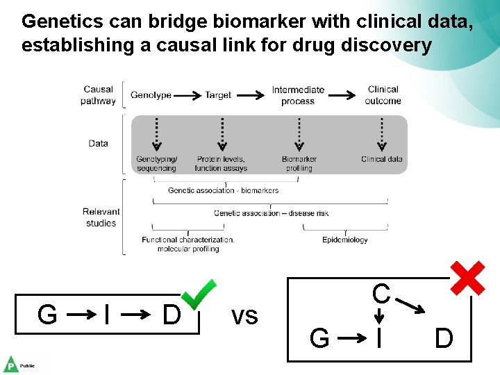 Genetics can bridge biomarker with clinical data, establishing a causal link for drug discovery