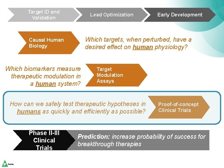 Target ID and Validation Lead Optimization Which targets, when perturbed, have a desired effect