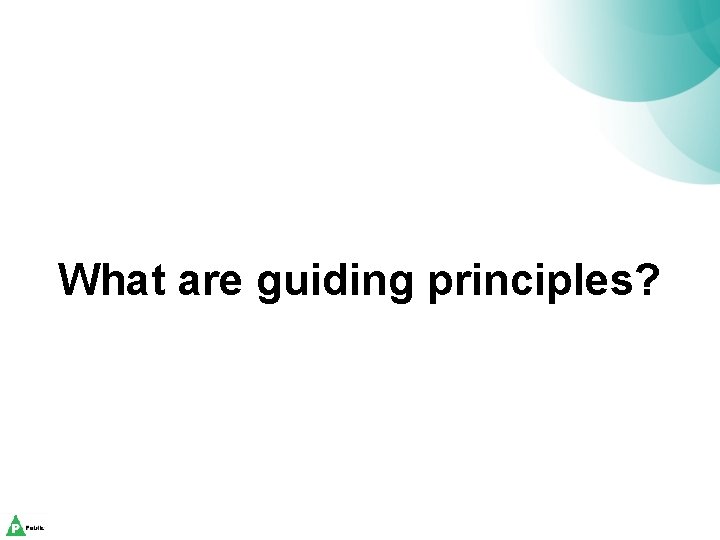 What are guiding principles? 