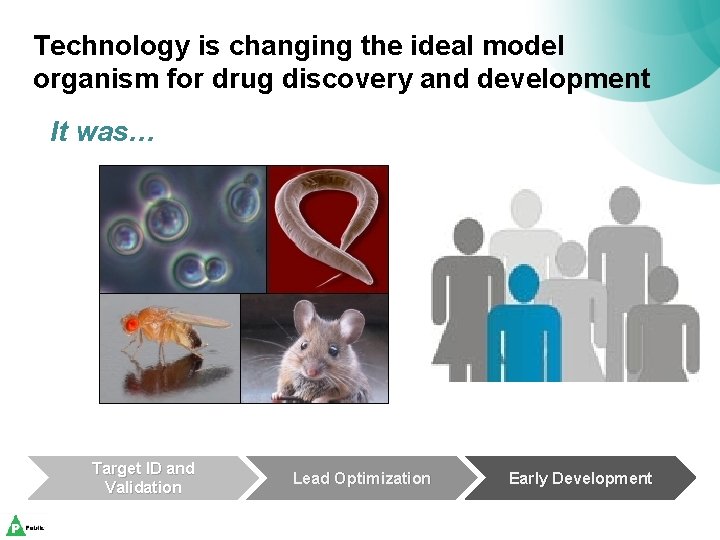 Technology is changing the ideal model organism for drug discovery and development It was…