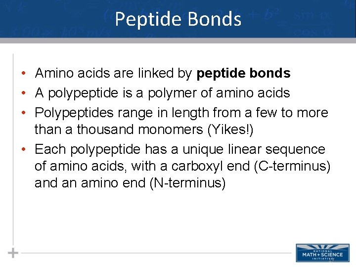 Peptide Bonds • Amino acids are linked by peptide bonds • A polypeptide is
