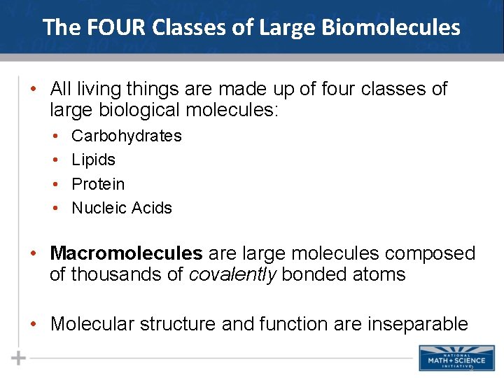 The FOUR Classes of Large Biomolecules • All living things are made up of