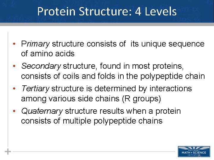 Protein Structure: 4 Levels • Primary structure consists of its unique sequence of amino