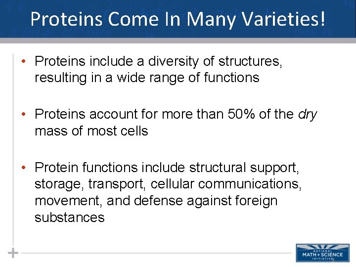 Proteins Come In Many Varieties! • Proteins include a diversity of structures, resulting in