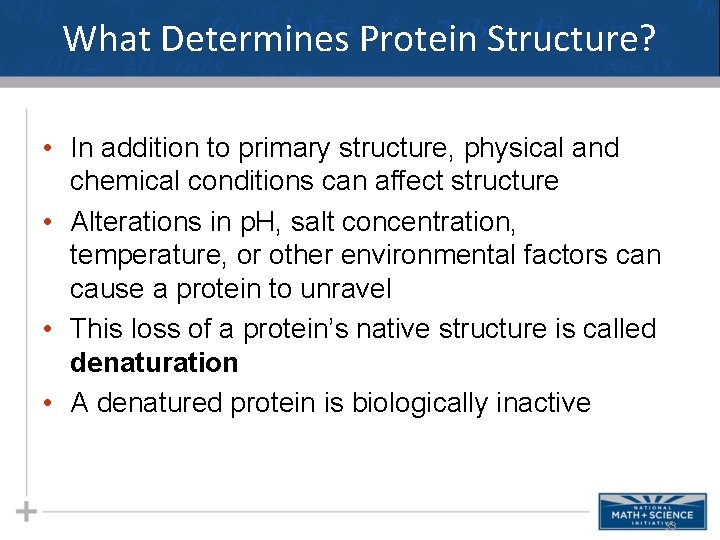 What Determines Protein Structure? • In addition to primary structure, physical and chemical conditions