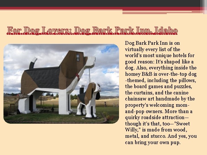 For Dog Lovers: Dog Bark Park Inn, Idaho Dog Bark Park Inn is on