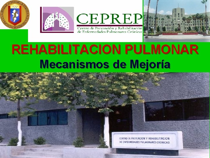 REHABILITACION PULMONAR Mecanismos de Mejoría 