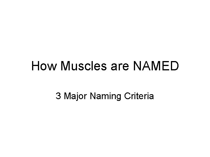 How Muscles are NAMED 3 Major Naming Criteria 