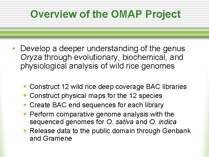Overview of the OMAP Project • Develop a deeper understanding of the genus Oryza