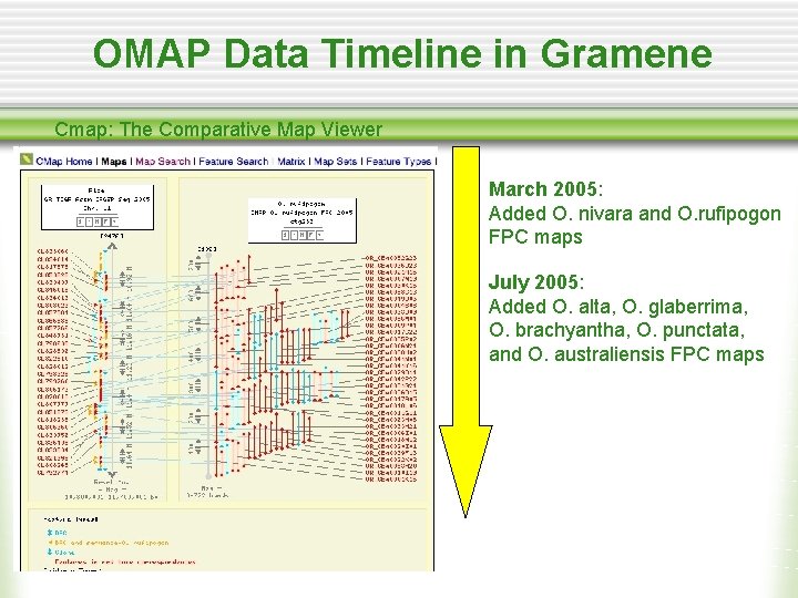 OMAP Data Timeline in Gramene Cmap: The Comparative Map Viewer March 2005: Added O.
