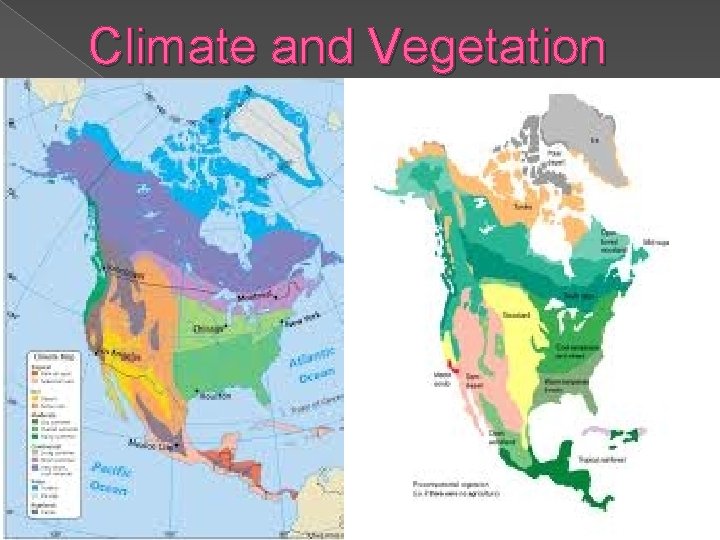 Climate and Vegetation 