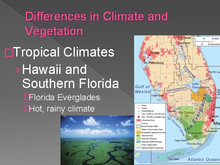 Differences in Climate and Vegetation �Tropical Climates › Hawaii and Southern Florida �Florida Everglades