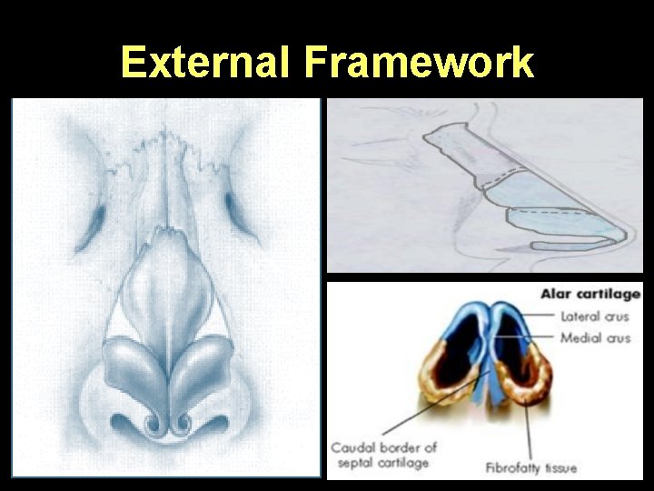 External Framework 