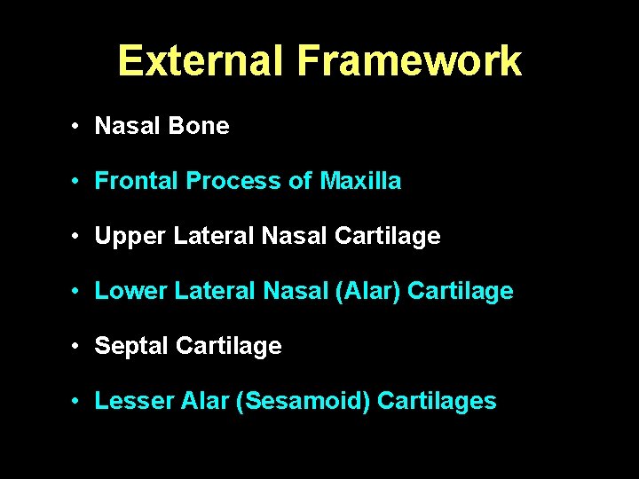 External Framework • Nasal Bone • Frontal Process of Maxilla • Upper Lateral Nasal