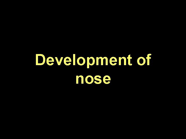 Development of nose 