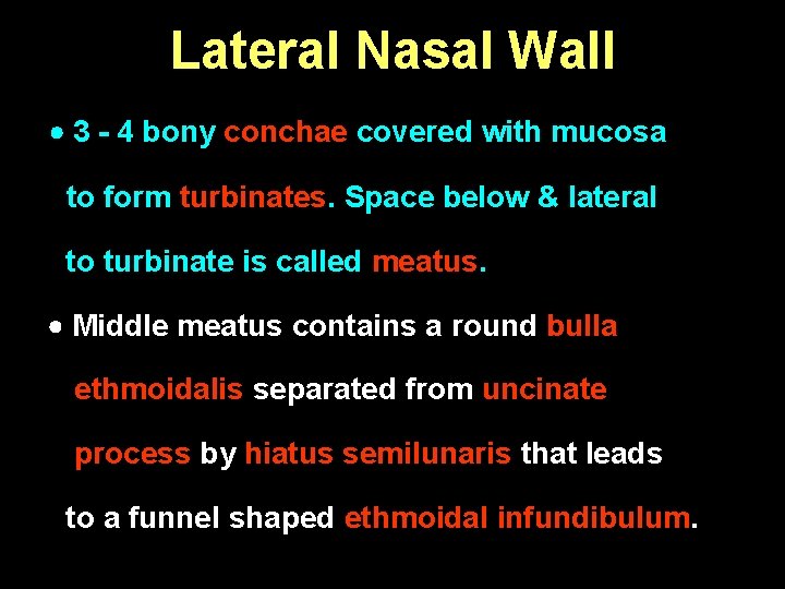 Lateral Nasal Wall 3 - 4 bony conchae covered with mucosa to form turbinates.